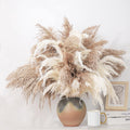 ROOLLYA 28" inch 20 Stems Large Pampas Grass Decor - Fluffy Brown & White Pampas Grass Decor Tall Pompas Grass for Floor Vase - Boho Home Decor Wedding Decor Natural Flower Bouquet